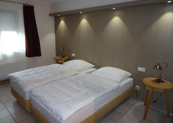 Hotel De La Frontiere Frisange